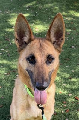 16
SEPHORA IS DOG 16 FOR 2026
