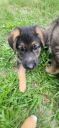 Filename=20260603_192921.jpg
Filesize=43KiB
Dimensions=277x600
Date added=Jun 11, 2026 20260603_192921.jpg