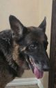 Filename=20260813_143432.jpg
Filesize=32KiB
Dimensions=389x600
Date added=Aug 13, 2026 20260813_143432.jpg