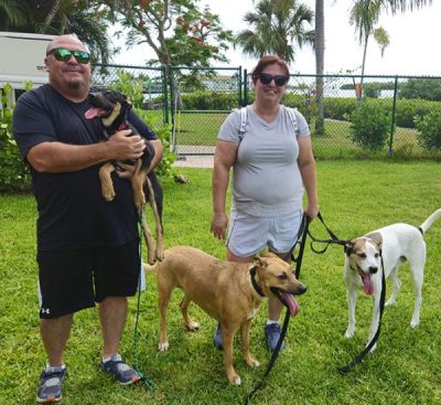 1676
ROO IS WITH NEW MOM AMY AND DAD JASEN DOG 1676
