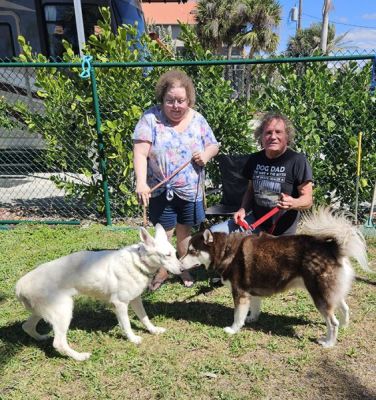 1757
WINTER WITH NEW MOM ROBERTA AND DAD BOB DOG 1757
