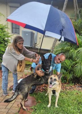 1817
COCO WITH NEW MOM KAREN AND DAD PETE AND NEW BRO KLAUSE DOG 1817
