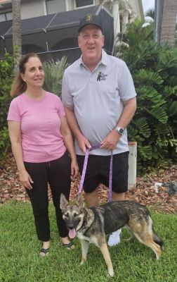 1830
PUPPY GINGER WITH NEDW MOM DINA AND DAD TIM DOG 1830
