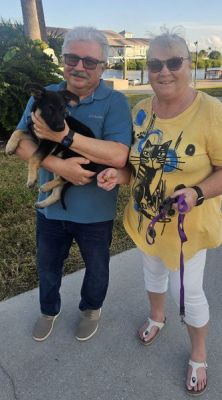 1845
PUPPY CHESTER WITH NEW DAD FRANK AND MOM DOG 1845
