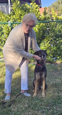 1851
LADY DIANA WITH NEDW MOM RONNIE DOG 1851
