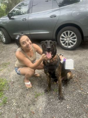 1809
DUTCH WITH NEW SECOND MOM SIMONE DOG 1809
