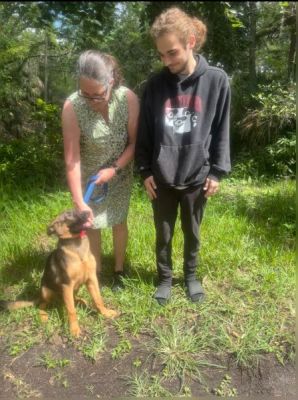 1807
PUPPY SABLE WITH NEW MOM DEB DOG 1807
