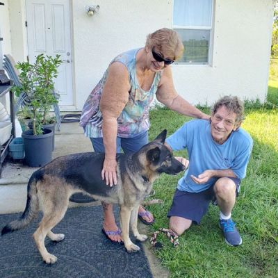 LOLA2 WITH NEW DAD ROMAN AND MOM TERE DOG 1356
Keywords: 1356