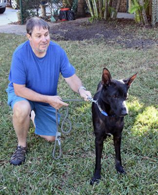 NELSON AND NEW DAD TOM DOG 744
